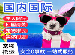 丹霞机场物流国际宠物托运 【国
